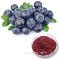 Vegan Spray / Freezed -dried blueberry powder